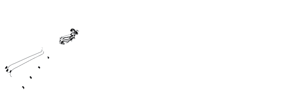 DRAGONFLY STUDIOS